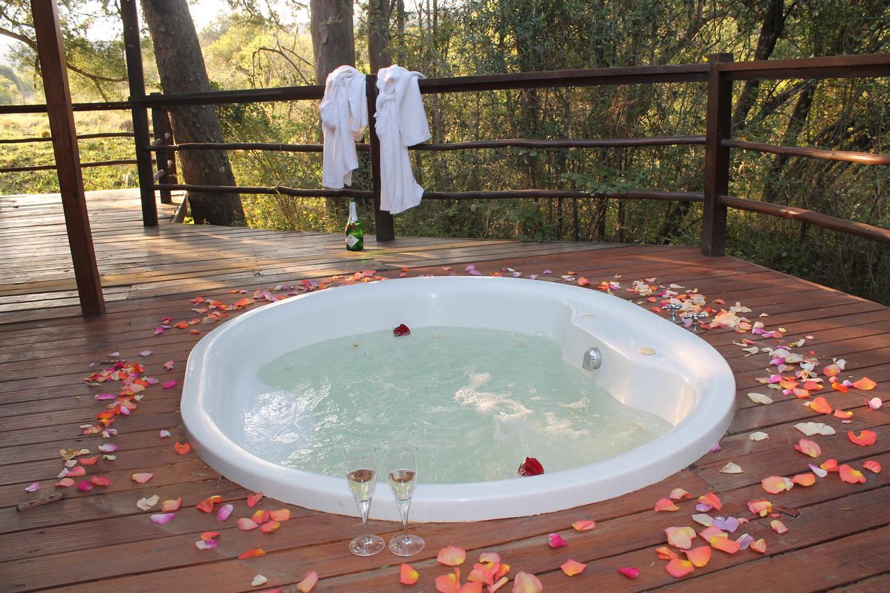 Addo Elephant Lodge & Safaris Kirkwood Exterior foto