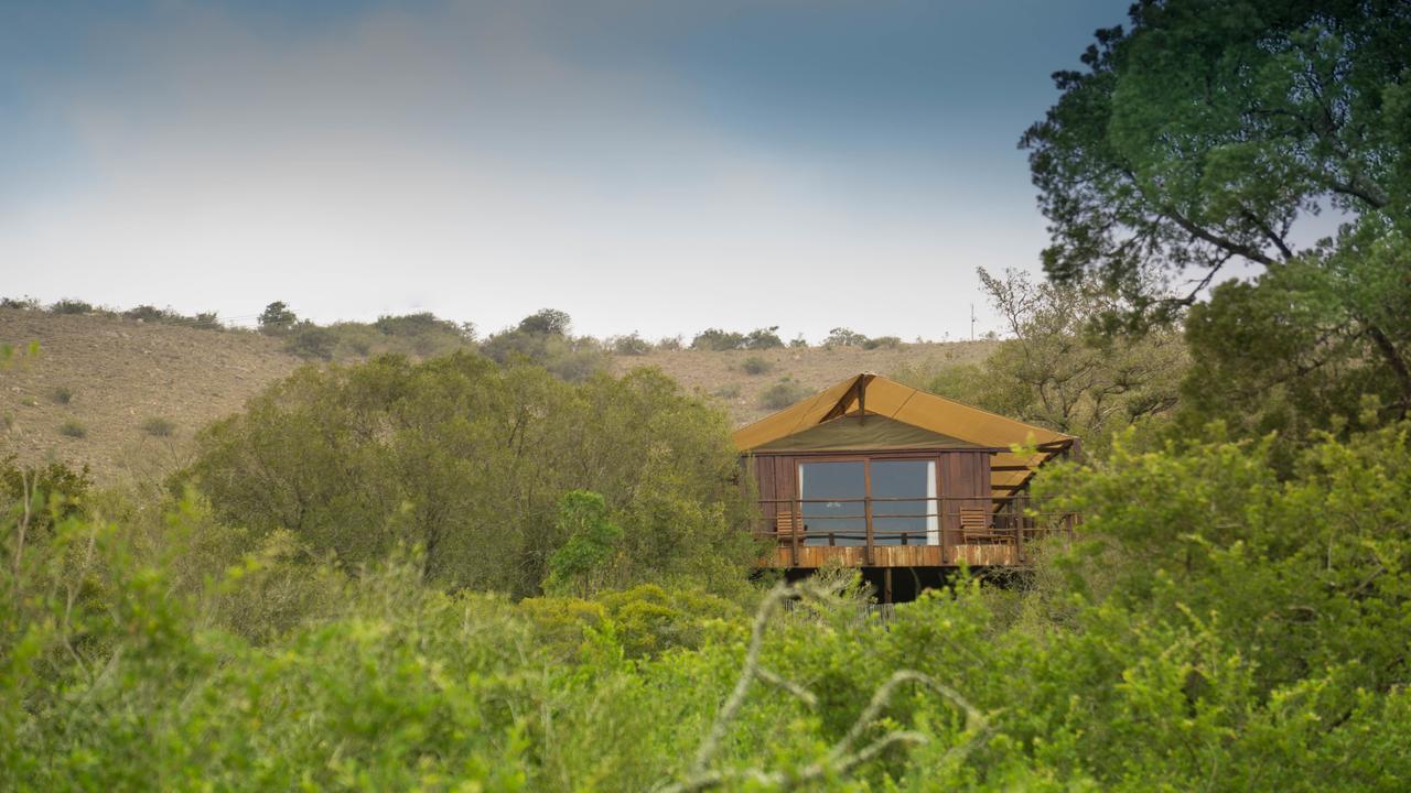Addo Elephant Lodge & Safaris Kirkwood Exterior foto