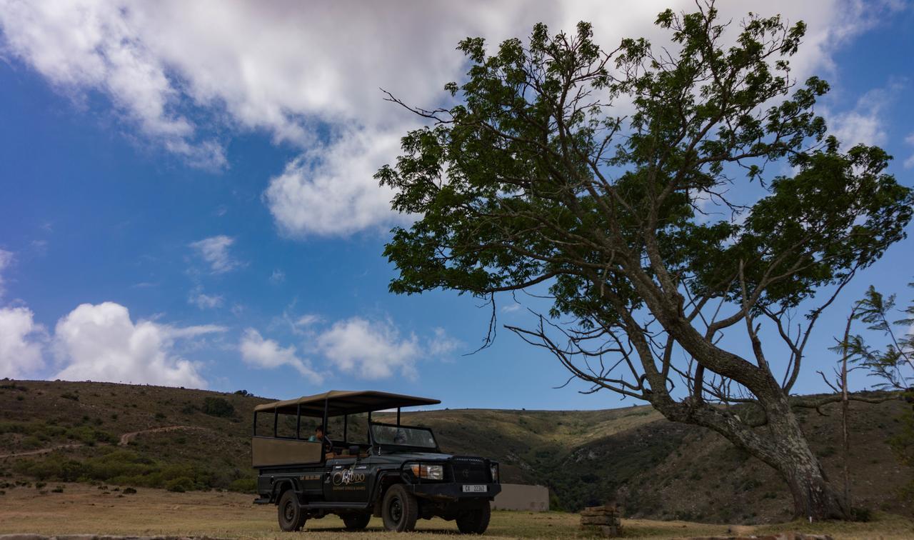 Addo Elephant Lodge & Safaris Kirkwood Exterior foto