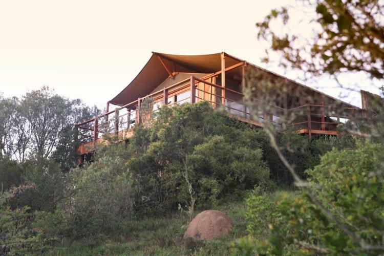 Addo Elephant Lodge & Safaris Kirkwood Exterior foto